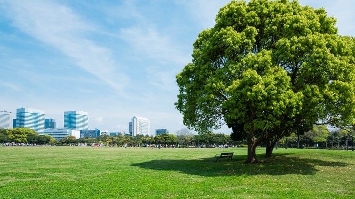 🌳 치바 현립 마쿠하리 해변공원 (치바켄리츠 마쿠하리카이힌코엔) 이미지 2